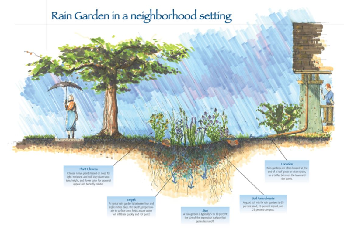 Neighborhood diagram of rain garden and food production layout